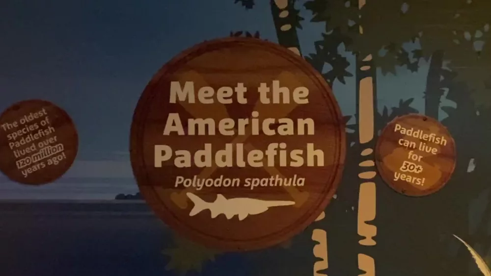 paddlefish-signage