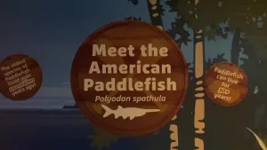 paddlefish-signage