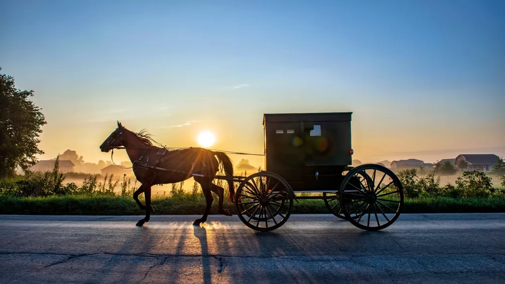 amishbuggyatsunriseonruralindianaroadwithshadows