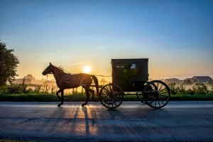 amishbuggyatsunriseonruralindianaroadwithshadows