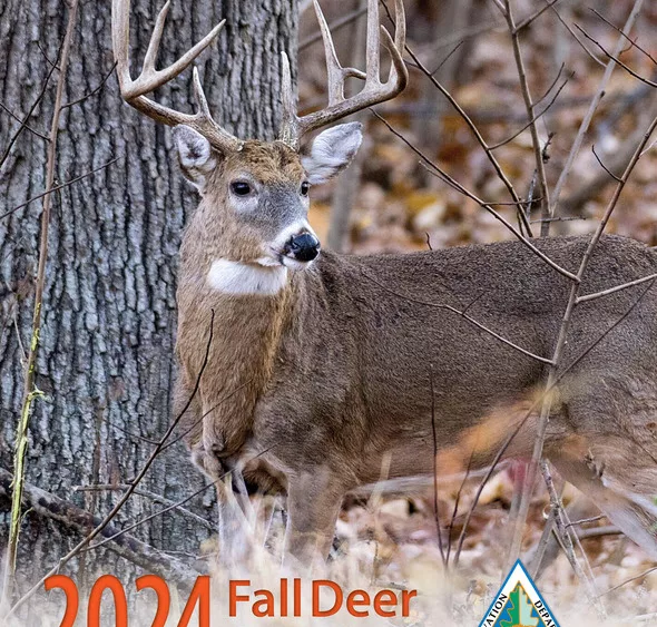 mdc-deer