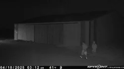 hcso-burglary2