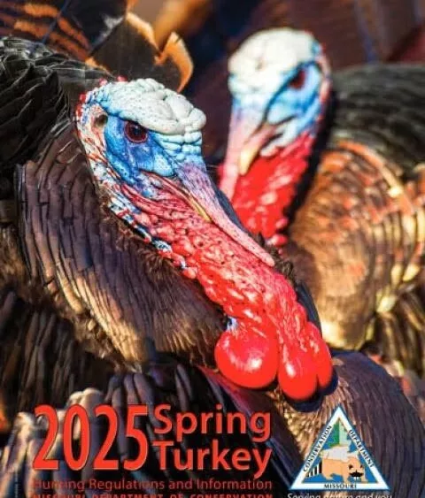 mdc-turkey