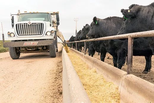 feedbunk_corn494107