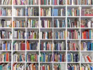 modernlibraryinteriorwithwhiteshelvesfullofcountlessbooks