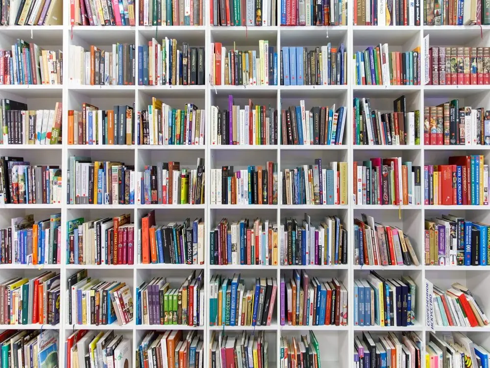 modernlibraryinteriorwithwhiteshelvesfullofcountlessbooks