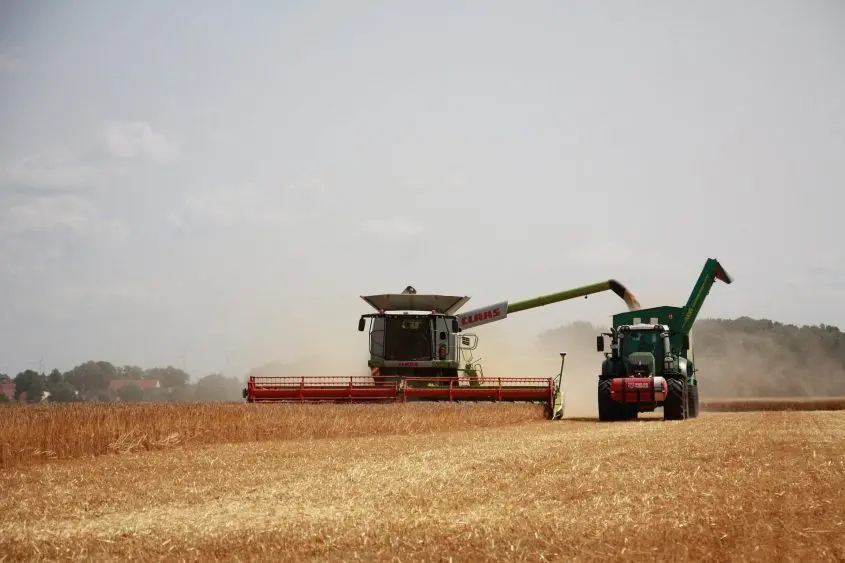 Combine harvester working in a field during the harvest season^ with a tractor positioned nearby to collect the harvested grain.