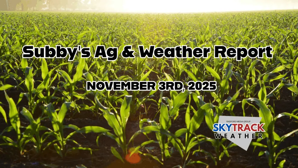 untitled-2025-11-03t072549-527