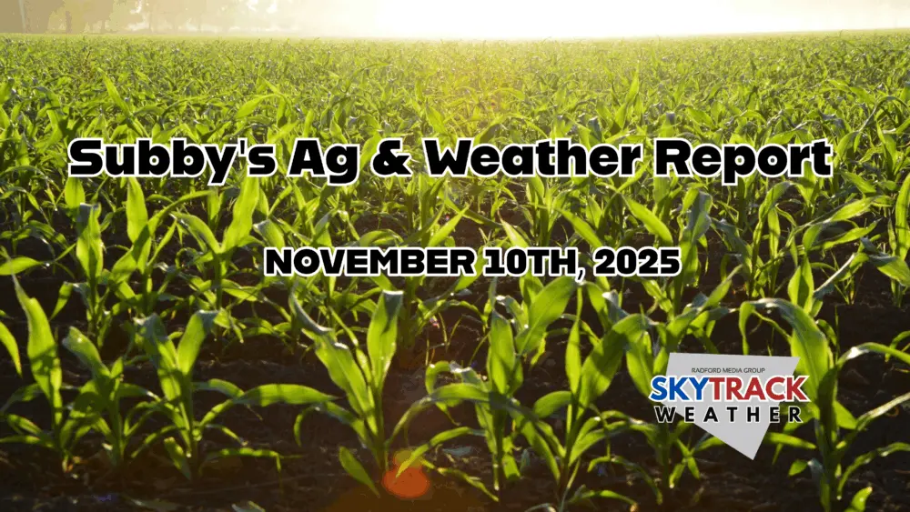 untitled-2025-11-10t083810-856