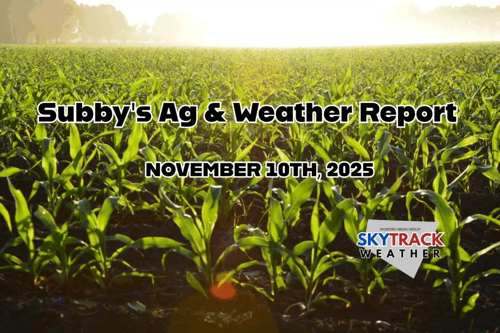 untitled-2025-11-10t083810-856