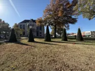 mainstreetchristmastrees