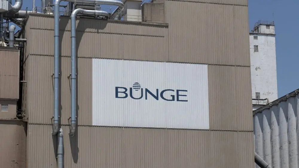 web-photo-template-onecms-1000-x-563-px-2025-08-07t131426-835238614