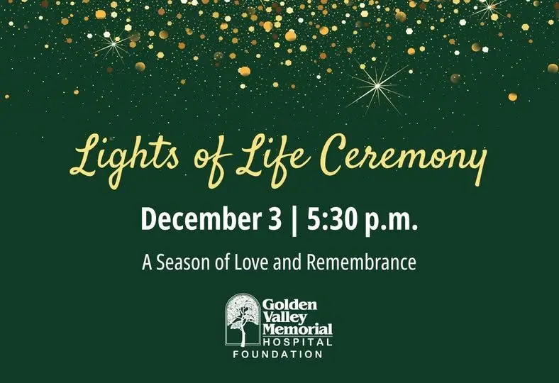 gvmh_lightsoflifeceremony