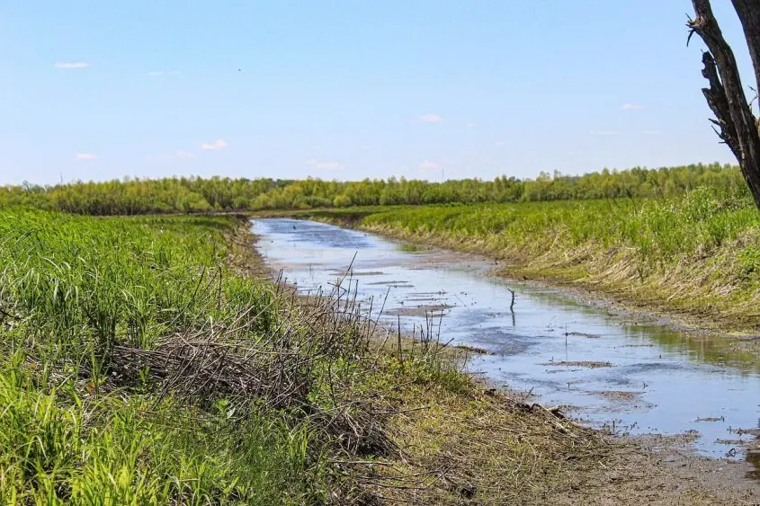 shallow-creek-5155681_1280-845x563766598-1