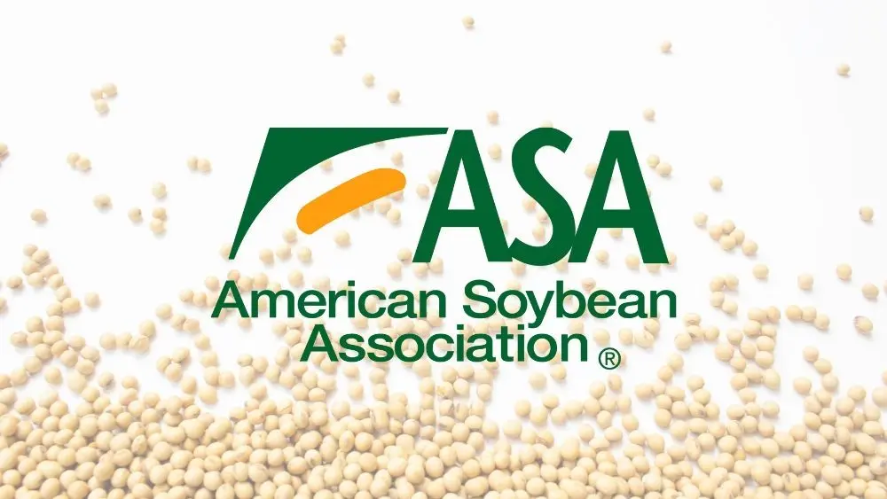 web-photo-template-onecms-1000-x-563-px-39228051