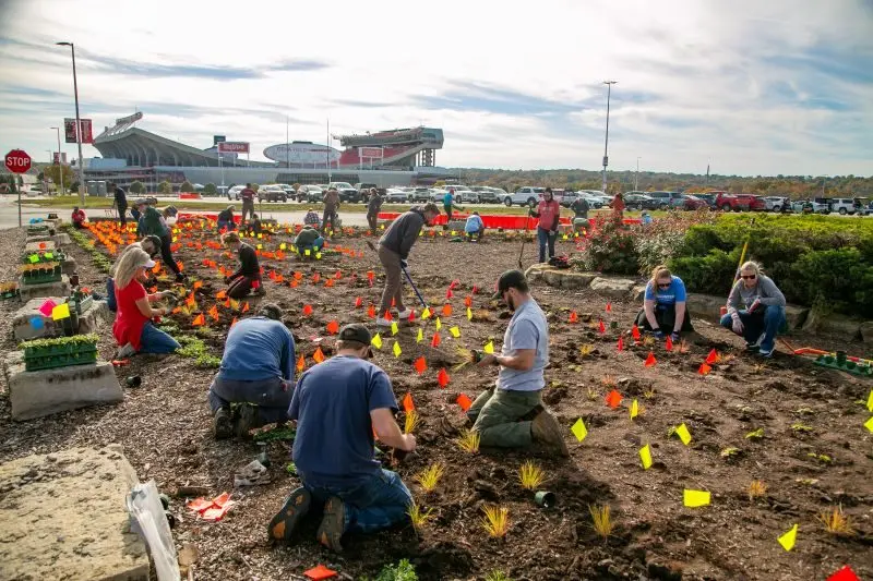 mdc-volunteers-planting-native-plants-ahead-of-2026-fifa-world-cup