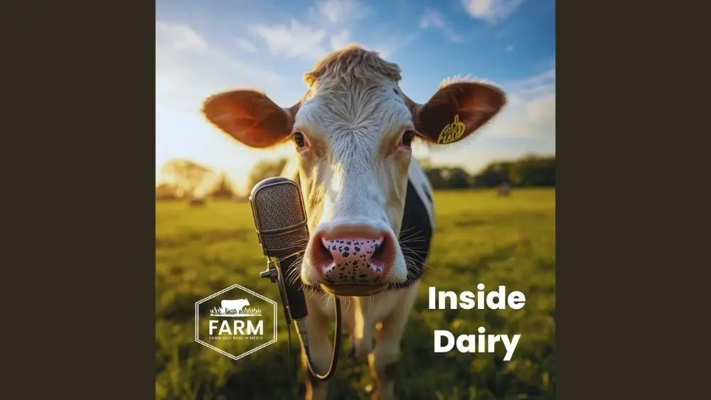 web-photo-template-onecms-1000-x-563-px-2026-01-05t075539-378197833