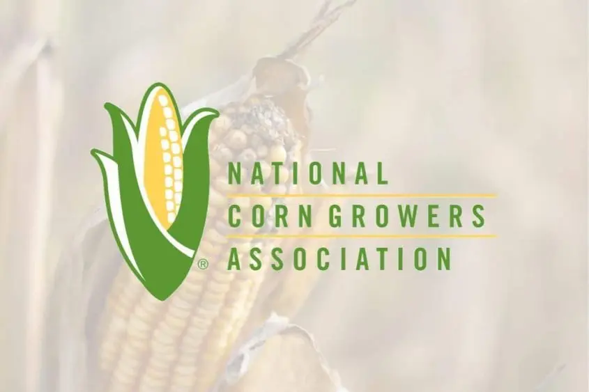 untitled-1080-c397-860-px-1080-c397-720-px-2-845x563859054-1