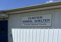clinton-animal