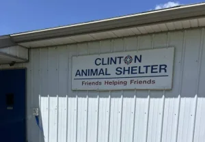 clinton-animal