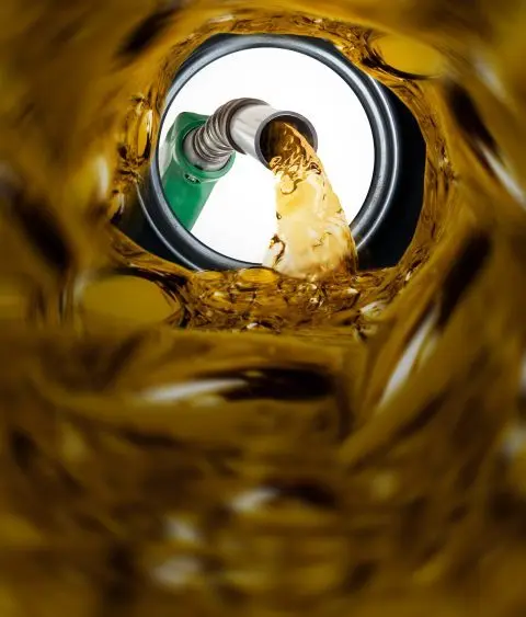 adobestock_91930020-480x563826879-1