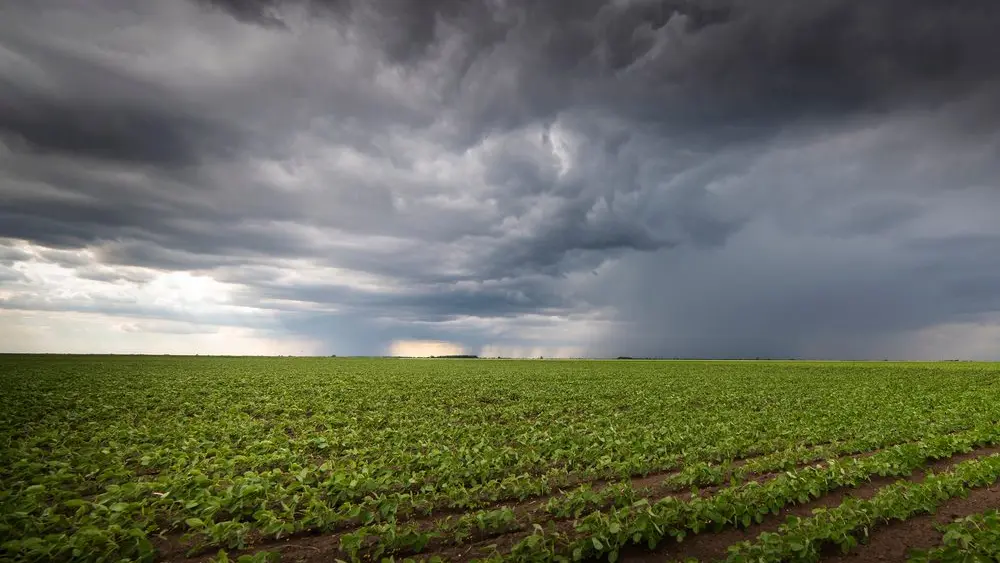 imageofrain-ladencloudsarrivingoveralargesoyplantation