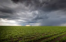 imageofrain-ladencloudsarrivingoveralargesoyplantation