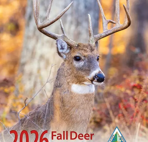 mdc-2026-deer