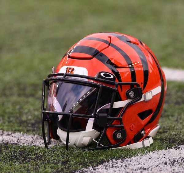 r1000166_600x600_1-1