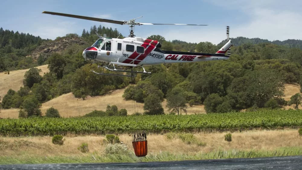 shutterstock_308147726807105