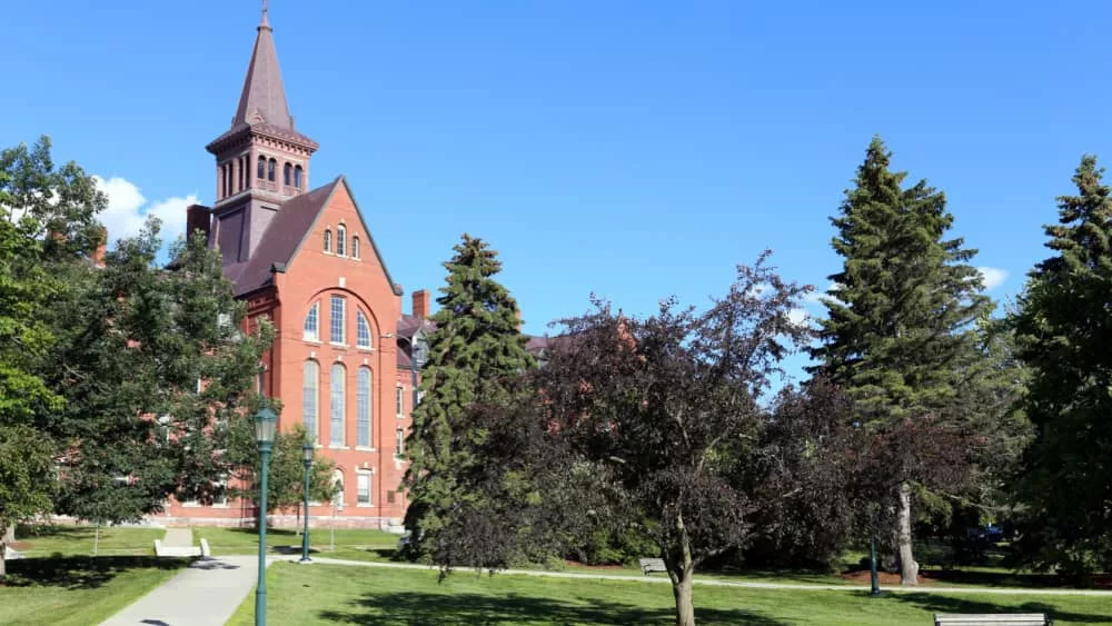 shutterstock_1129391915162148