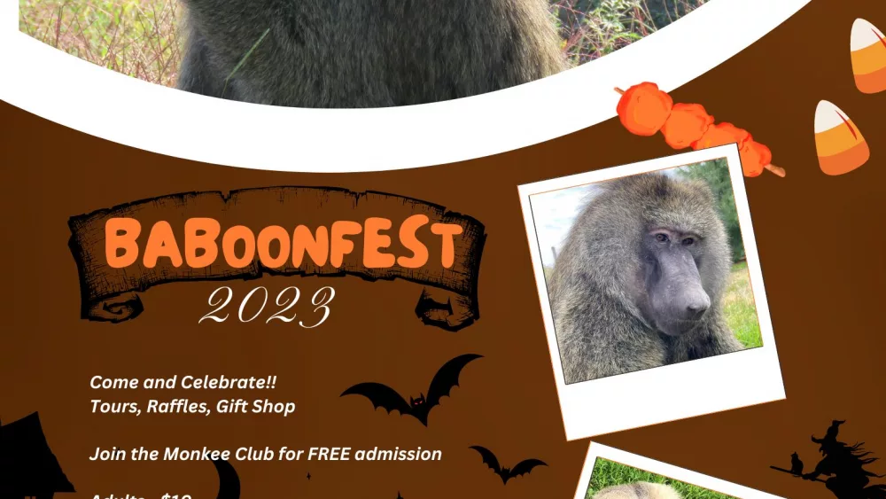 baboonfest-2023