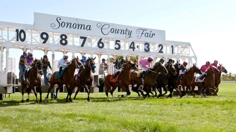 horseracing3-1000x563965699-1
