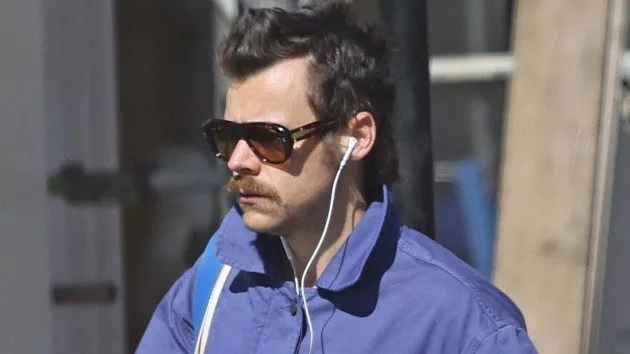 getty_harrystylesholdingdrink_040825433228