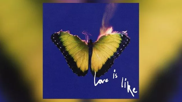 m_maroon5loveislike_062325149577