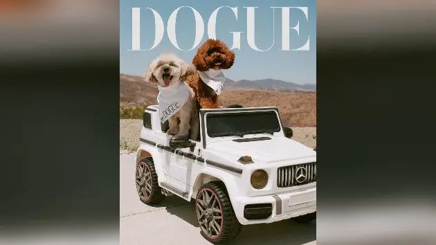 m_doguesabrinacarpenter_081825572978