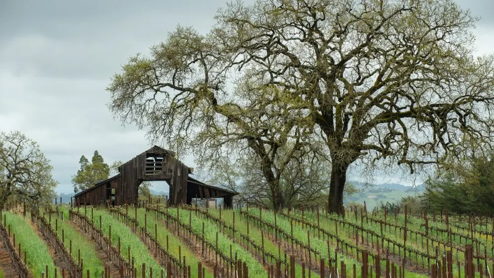 shutterstock_1724241811-1000x563260505-1