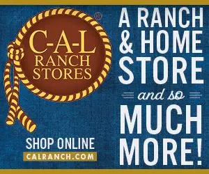 cal-brand_retargeting_300x250