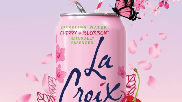 cherry-blossom_cover_1644872545877_hpmain_16x9_99228129