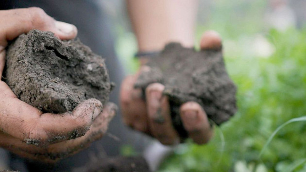 green-new-future-soil-replenishment-farming-soildetail-03-abc-llr-211116_1637096825827_hpembed_16x9_99228129