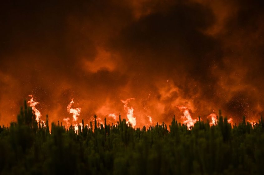 gettyimages_francewildfire_081022