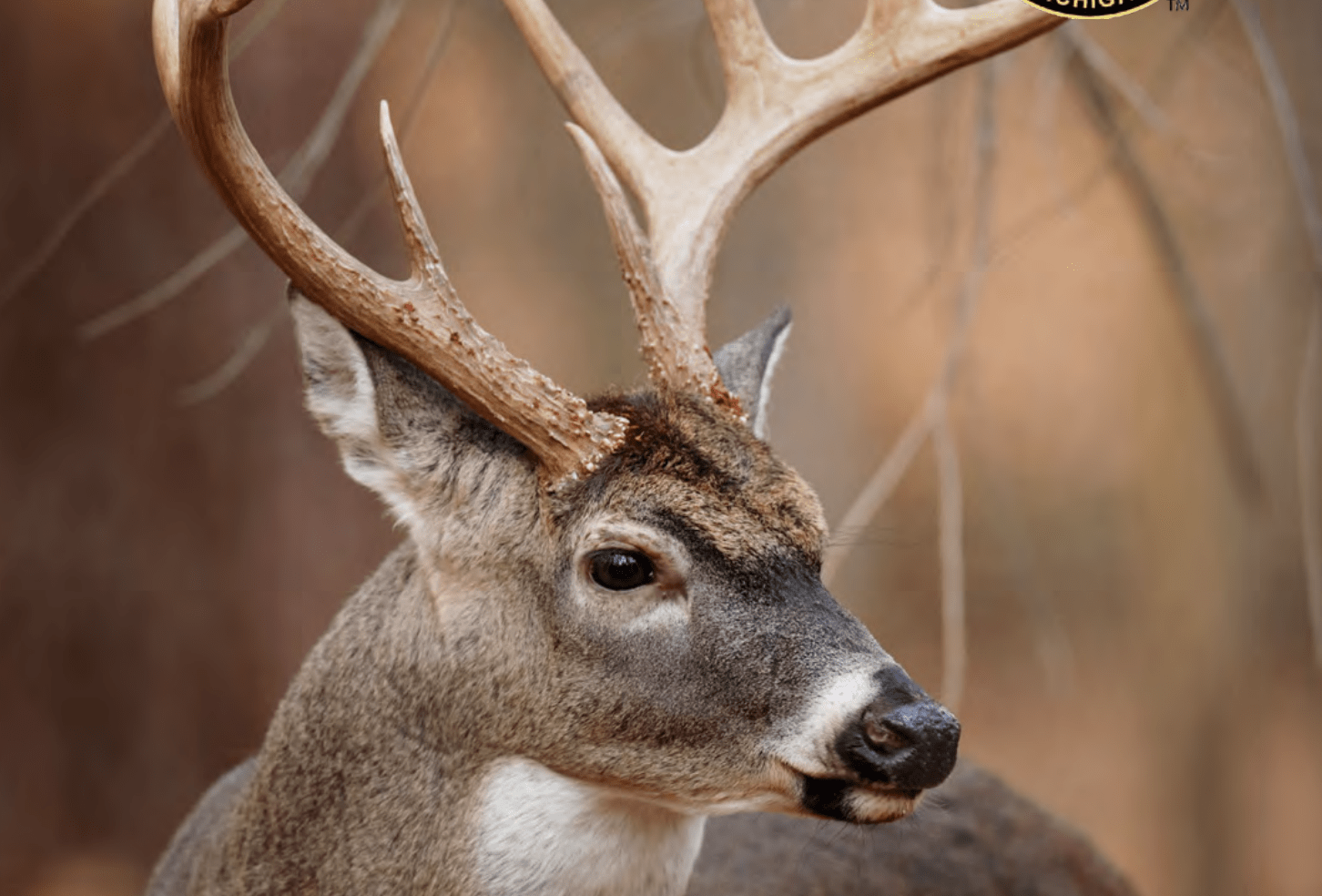 New Reporting Requirements For Michigan Hunters As Firearm Season 