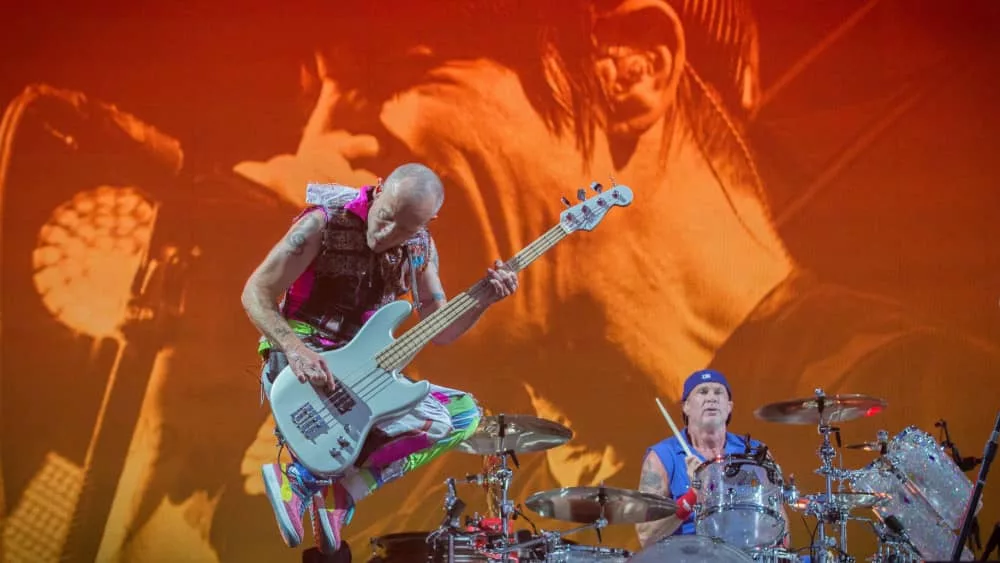 shutterstock_430252678331151