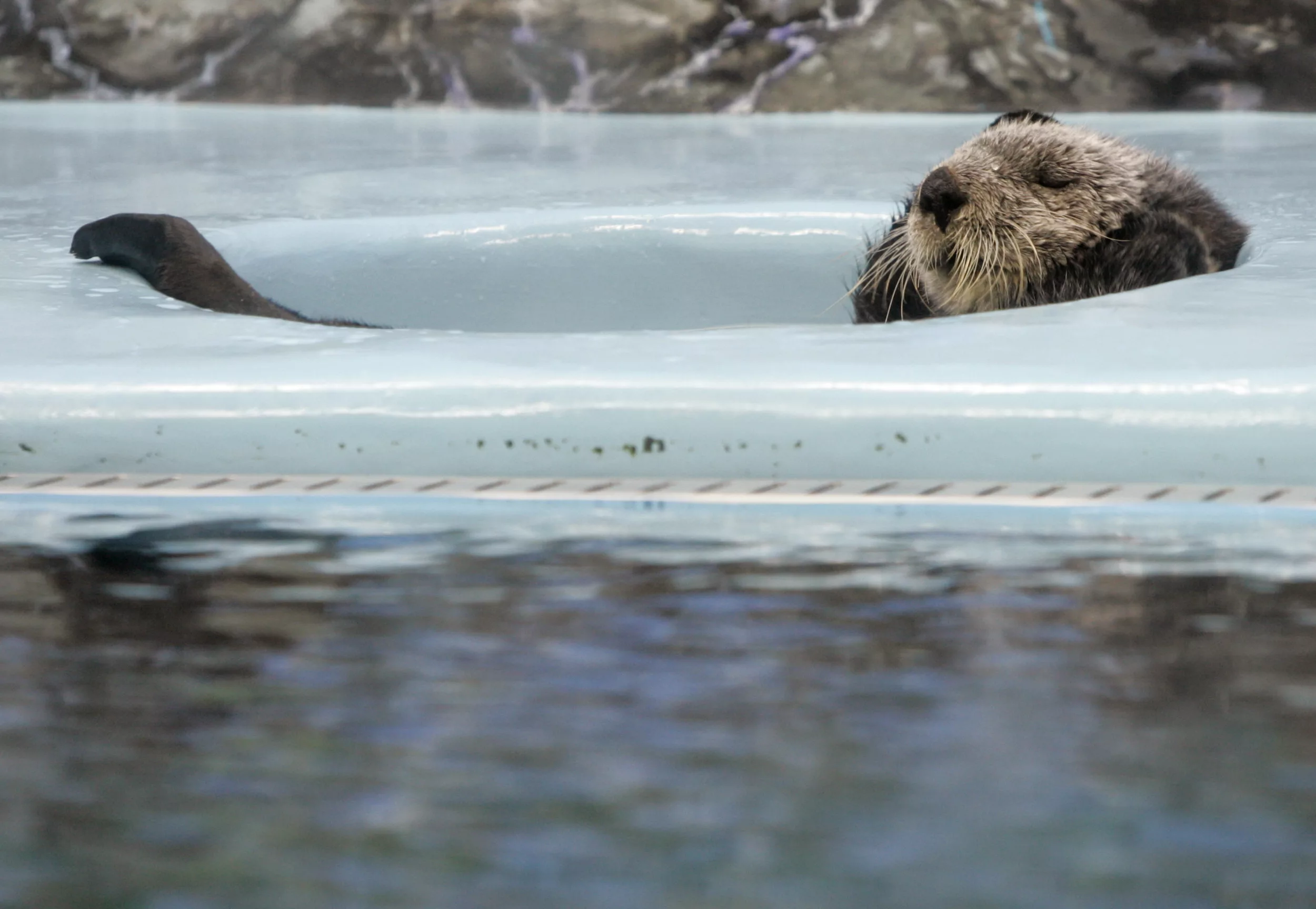 2007-06-13t120000z_1323831931_gm1dvlyjrzaa_rtrmadp_3_japan-jpg