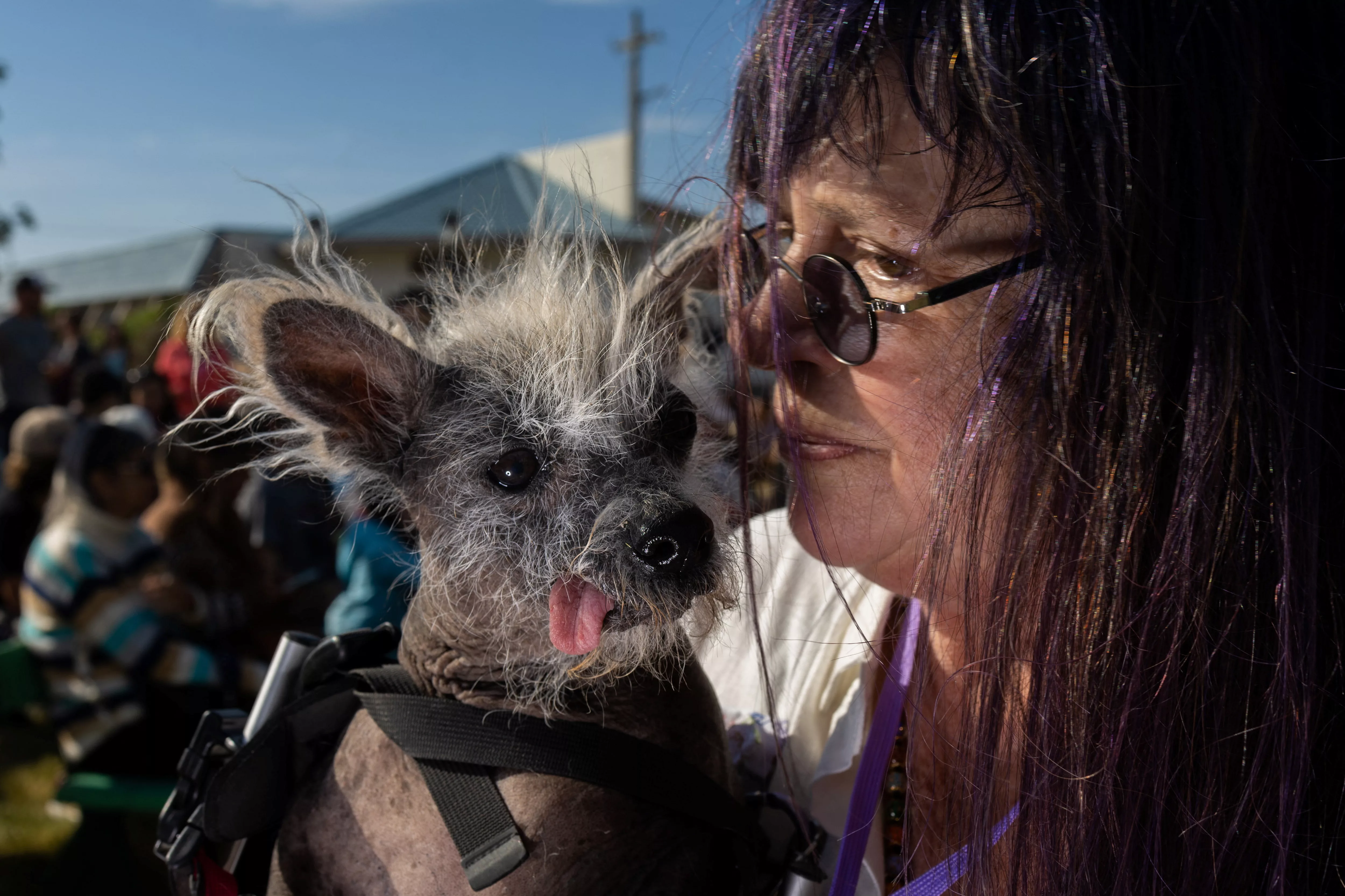worlds-ugliest-dog-competition