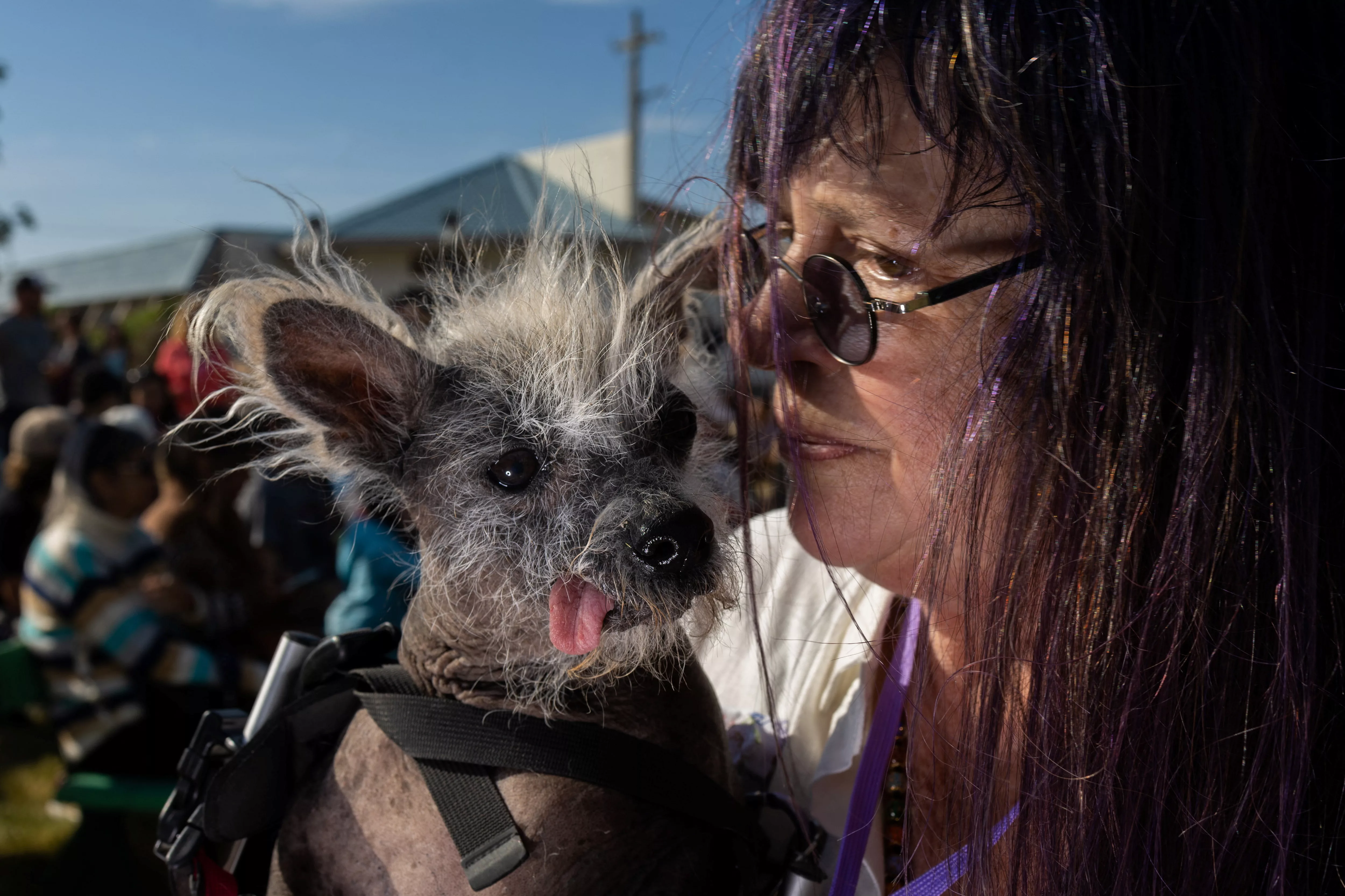 World's Ugliest Dog Crowned | WZZK - Birmingham, AL