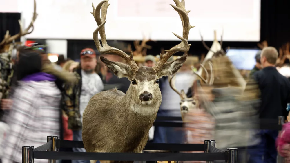 gun-and-hunting-enthusiasts-walk-past-at-mounted-deer-head-at-the-western-hunting-and-conservation-expo-in-salt-lake-city