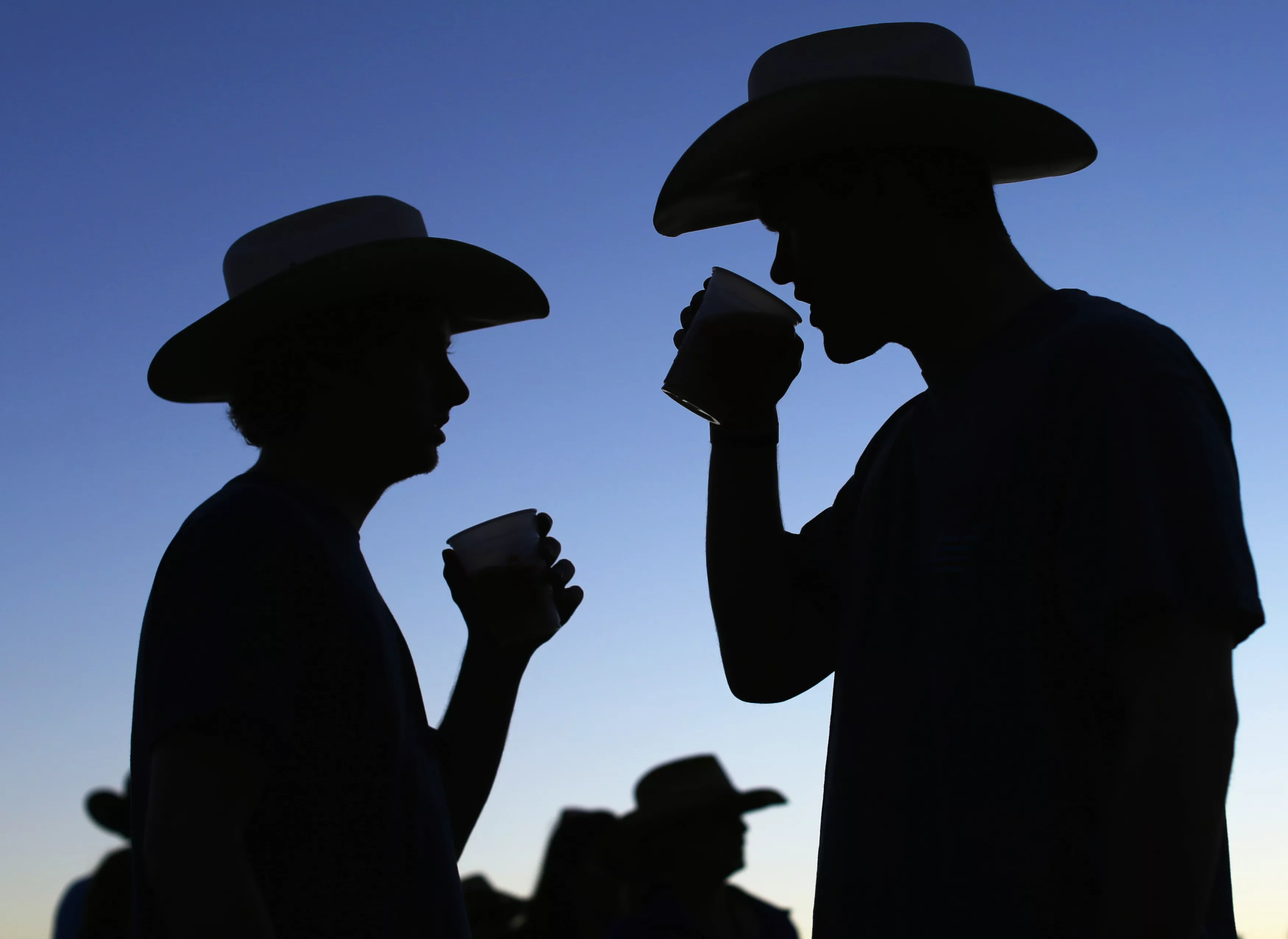 country-music-fans-drink-beer-as-night-falls-during-final-day-of-stagecoach-country-music-festival-in-indio