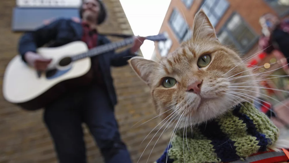street-musician-james-bowen-busks-with-cat-bob-in-covent-garden-in-london