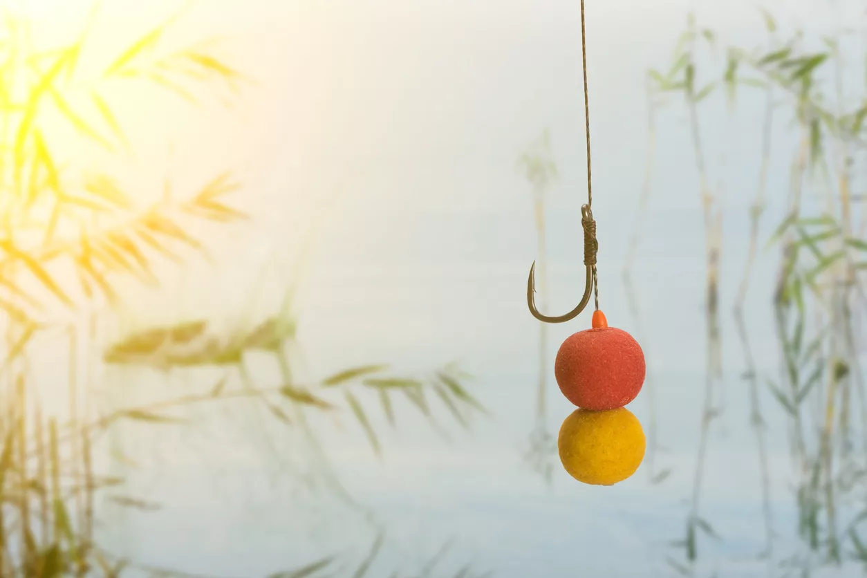 boilies-and-hook-all-ready-for-carp-fishing-at-the-lake-copy-paste